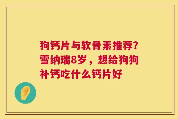 狗钙片与软骨素推荐?雪纳瑞8岁,想给狗狗补钙吃什么钙片好