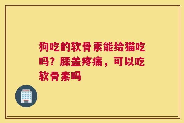 狗吃的软骨素能给猫吃吗?膝盖疼痛,可以吃软骨素吗