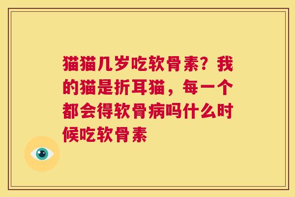 猫猫几岁吃软骨素?我的猫是折耳猫,每一个都会得软骨病吗什么时候吃软骨素