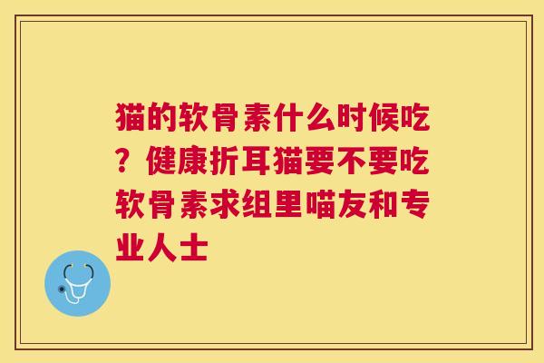 猫的软骨素什么时候吃?健康折耳猫要不要吃软骨素求组里喵友和专业人士