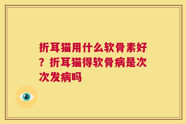折耳猫用什么软骨素好?折耳猫得软骨病是次次发病吗