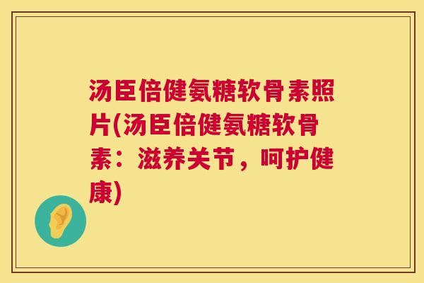 汤臣倍健氨糖软骨素照片(汤臣倍健氨糖软骨素:滋养关节,呵护健康) 汤臣倍健氨糖软骨素照片(汤臣倍健氨糖软骨素:滋养关节,呵护健康)