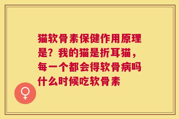猫软骨素保健作用原理是？我的猫是折耳猫，每一个都会得软骨吗什么时候吃软骨素
