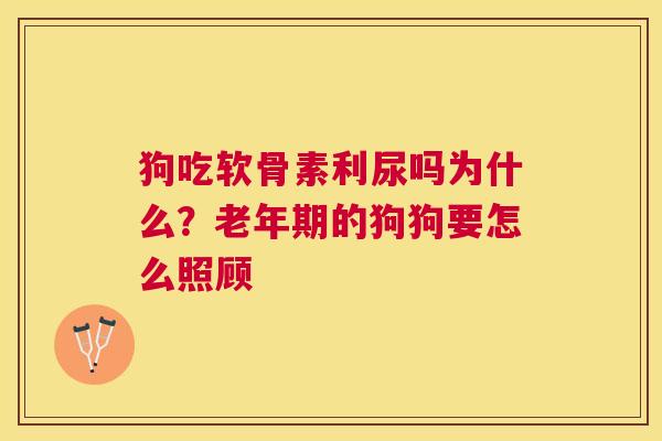 狗吃软骨素利尿吗为什么?老年期的狗狗要怎么照顾