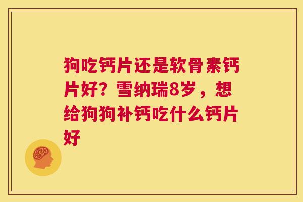 狗吃钙片还是软骨素钙片好?雪纳瑞8岁,想给狗狗补钙吃什么钙片好