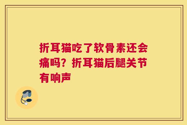 折耳猫吃了软骨素还会痛吗?折耳猫后腿关节有响声