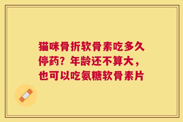 猫咪骨折软骨素吃多久停药?年龄还不算大,也可以吃氨糖软骨素片