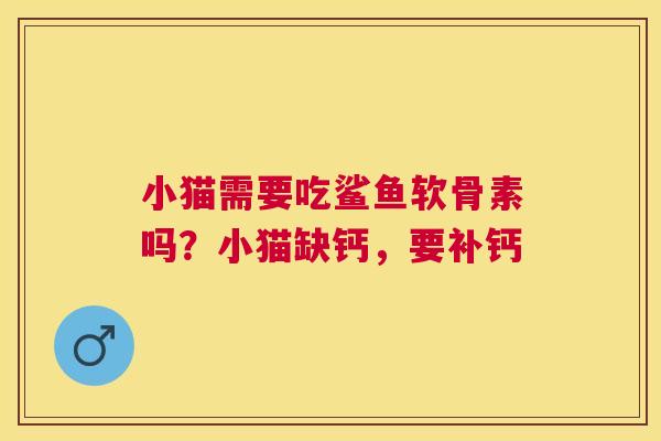 小猫需要吃鲨鱼软骨素吗?小猫缺钙,要补钙
