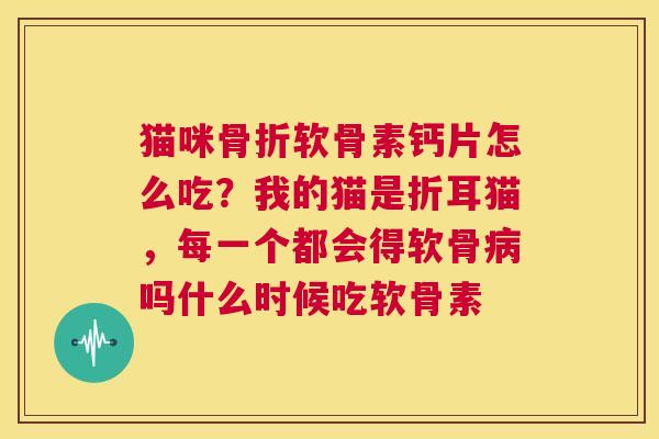 猫咪软骨素钙片怎么吃？我的猫是折耳猫，每一个都会得软骨吗什么时候吃软骨素