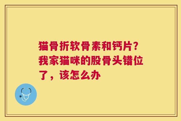 猫软骨素和钙片？我家猫咪的股骨头错位了，该怎么办
