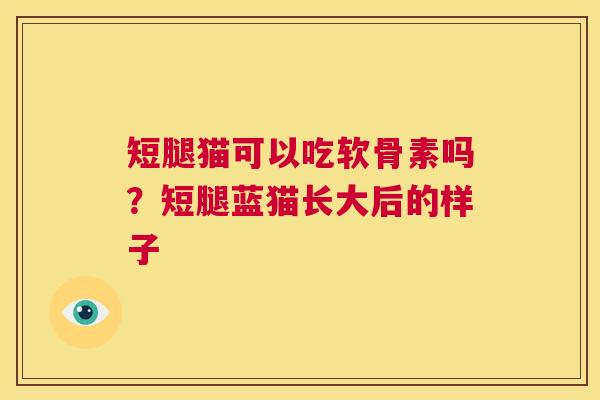 短腿猫可以吃软骨素吗？短腿蓝猫长大后的样子