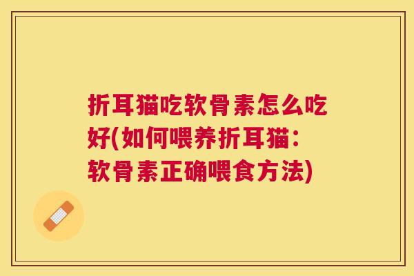折耳猫吃软骨素怎么吃好(如何喂养折耳猫:软骨素正确喂食方法)