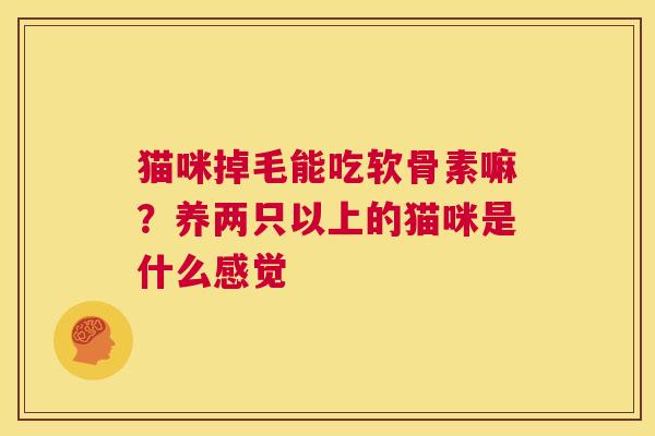 猫咪掉毛能吃软骨素嘛?养两只以上的猫咪是什么感觉
