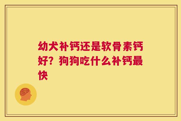 幼犬补钙还是软骨素钙好?狗狗吃什么补钙最快