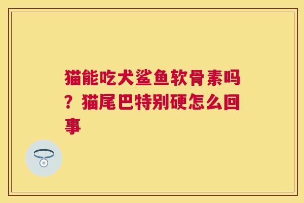 猫能吃犬鲨鱼软骨素吗?猫尾巴特别硬怎么回事