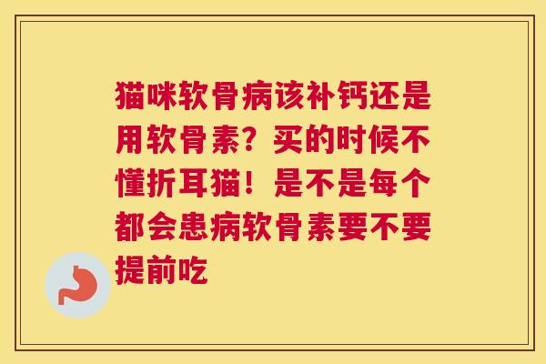 猫咪软骨病该补钙还是用软骨素?买的时候不懂折耳猫!是不是每个都会患病软骨素要不要提前吃
