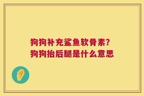 狗狗补充鲨鱼软骨素?狗狗抬后腿是什么意思 狗狗补充鲨鱼软骨素?狗狗抬后腿是什么意思