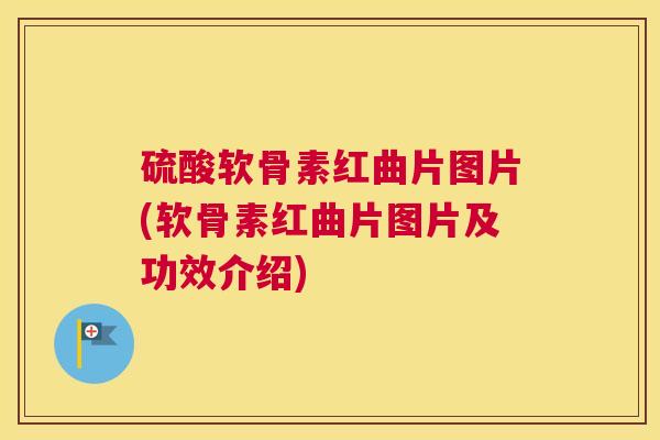 硫酸软骨素红曲片图片(软骨素红曲片图片及功效介绍)