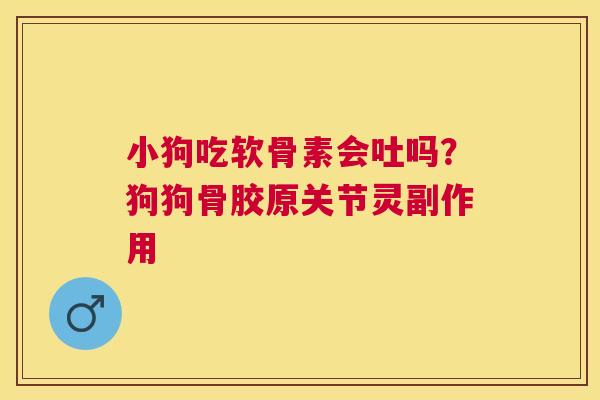 小狗吃软骨素会吐吗？狗狗骨胶原关节灵副作用