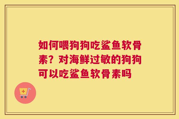 如何喂狗狗吃鲨鱼软骨素?对海鲜过敏的狗狗可以吃鲨鱼软骨素吗