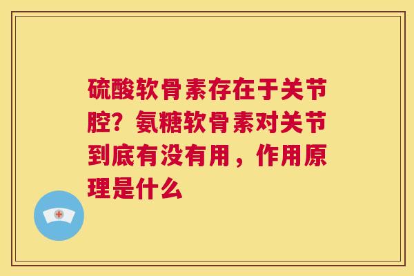 硫酸软骨素存在于关节腔?氨糖软骨素对关节到底有没有用,作用原理是什么 硫酸软骨素存在于关节腔?氨糖软骨素对关节到底有没有用,作用原理是什么