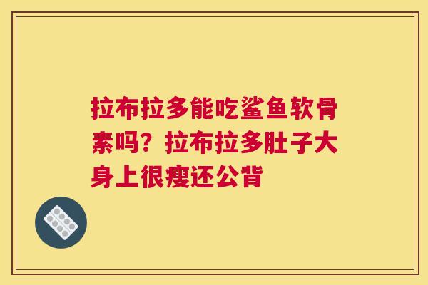 拉布拉多能吃鲨鱼软骨素吗?拉布拉多肚子大身上很瘦还公背 拉布拉多能吃鲨鱼软骨素吗?拉布拉多肚子大身上很瘦还公背