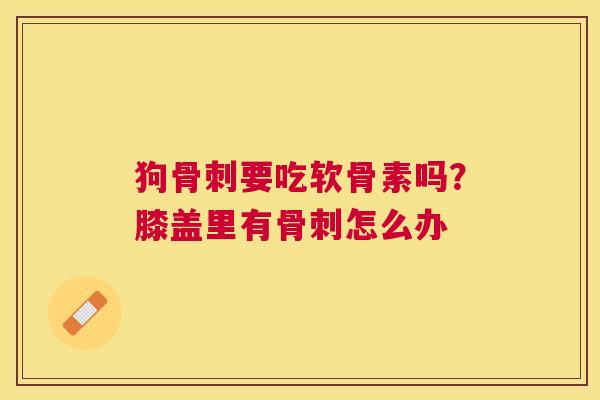 狗骨刺要吃软骨素吗？膝盖里有骨刺怎么办