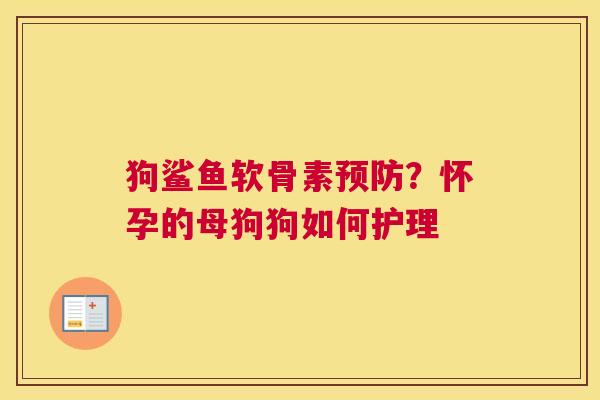 狗鲨鱼软骨素预防?怀孕的母狗狗如何护理