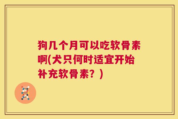 狗几个月可以吃软骨素啊(犬只何时适宜开始补充软骨素?)