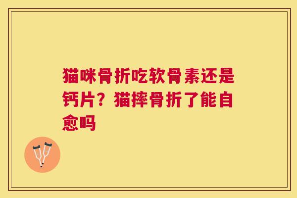 猫咪骨折吃软骨素还是钙片?猫摔骨折了能自愈吗