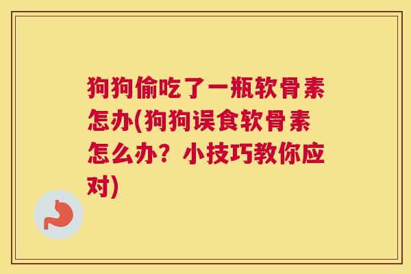 狗狗偷吃了一瓶软骨素怎办(狗狗误食软骨素怎么办？小技巧教你应对)