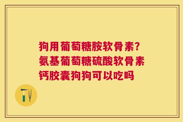 狗用葡萄糖胺软骨素?氨基葡萄糖硫酸软骨素钙胶囊狗狗可以吃吗