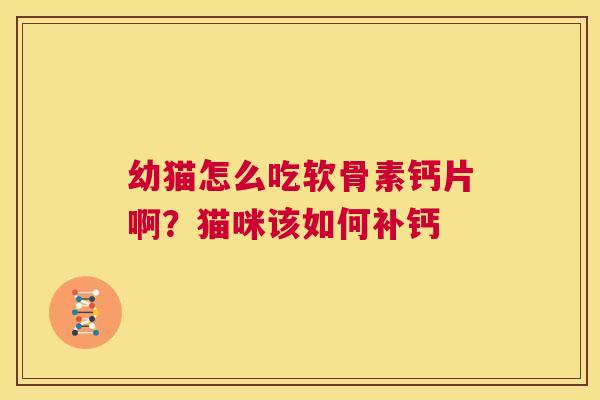 幼猫怎么吃软骨素钙片啊？猫咪该如何补钙