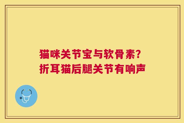 猫咪关节宝与软骨素？折耳猫后腿关节有响声