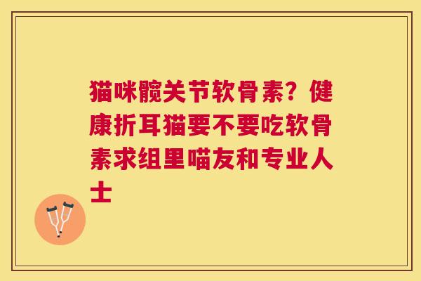 猫咪髋关节软骨素？健康折耳猫要不要吃软骨素求组里喵友和专业人士