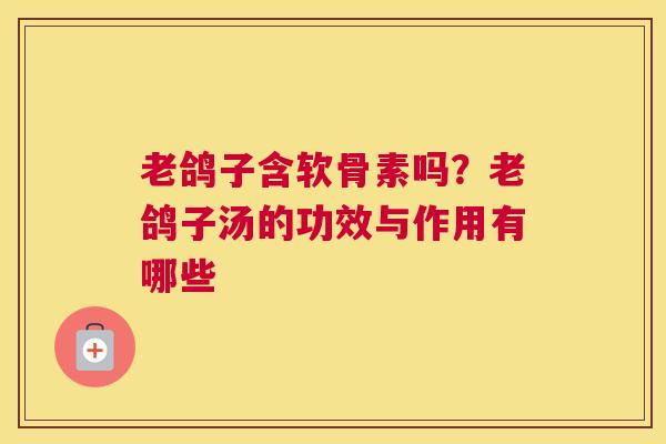 老鸽子含软骨素吗？老鸽子汤的功效与作用有哪些