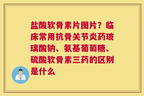 盐酸软骨素片图片？临床常用抗骨关节炎药玻璃酸钠、氨基葡萄糖、硫酸软骨素三药的区别是什么
