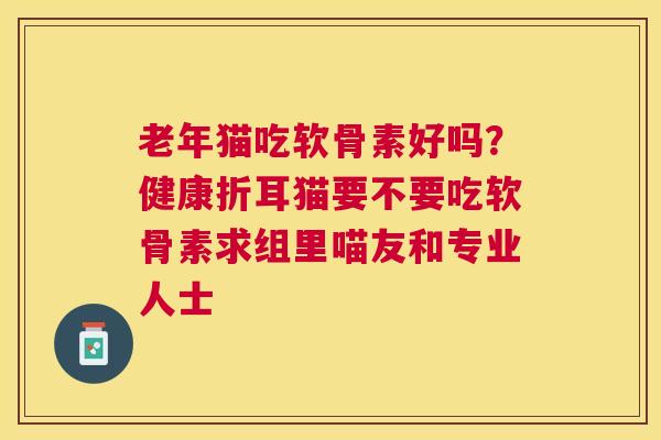 老年猫吃软骨素好吗？健康折耳猫要不要吃软骨素求组里喵友和专业人士