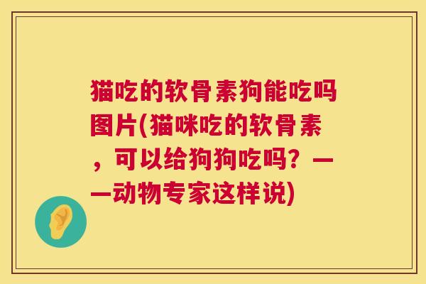 猫吃的软骨素狗能吃吗图片(猫咪吃的软骨素，可以给狗狗吃吗？——动物专家这样说)