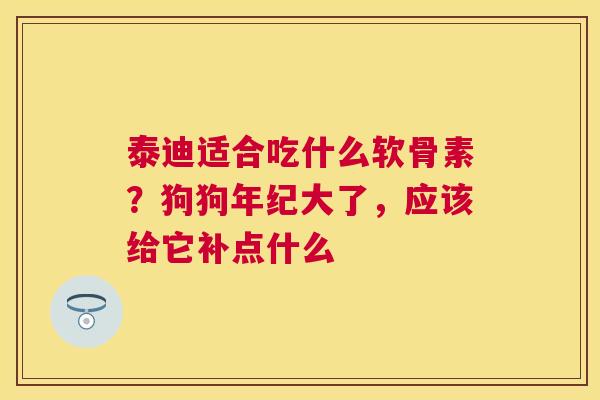 泰迪适合吃什么软骨素？狗狗年纪大了，应该给它补点什么