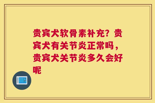 贵宾犬软骨素补充？贵宾犬有正常吗，贵宾犬多久会好呢