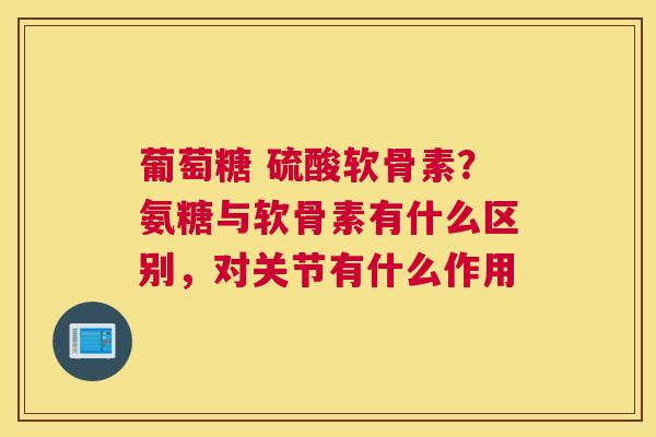 葡萄糖 硫酸软骨素？氨糖与软骨素有什么区别，对关节有什么作用