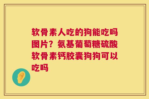 软骨素人吃的狗能吃吗图片？氨基葡萄糖硫酸软骨素钙胶囊狗狗可以吃吗