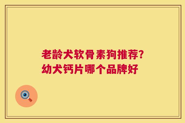 老龄犬软骨素狗推荐?幼犬钙片哪个品牌好
