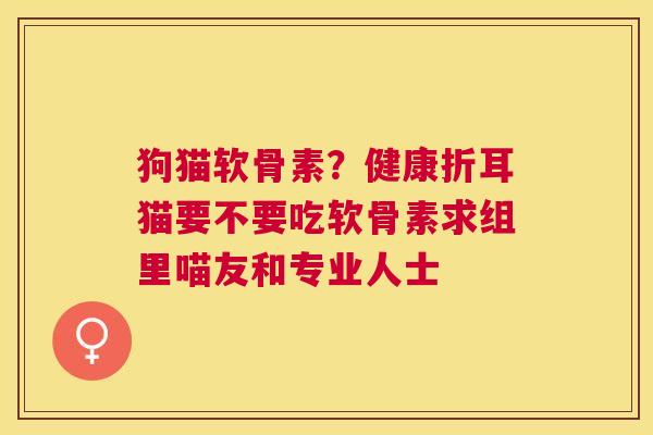 狗猫软骨素?健康折耳猫要不要吃软骨素求组里喵友和专业人士