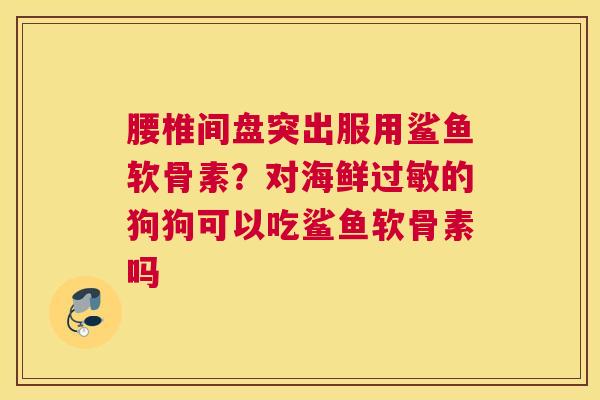 腰椎间盘突出服用鲨鱼软骨素？对海鲜过敏的狗狗可以吃鲨鱼软骨素吗