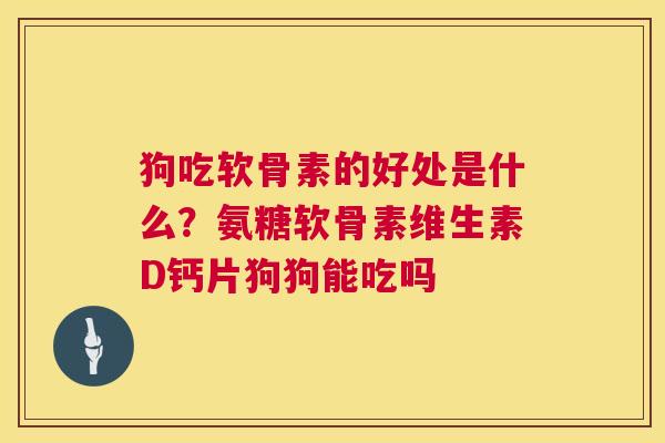 狗吃软骨素的好处是什么?氨糖软骨素维生素D钙片狗狗能吃吗 狗吃软骨素的好处是什么?氨糖软骨素维生素D钙片狗狗能吃吗