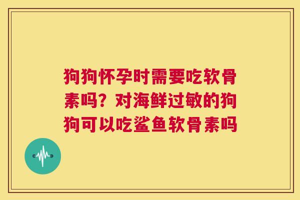 狗狗怀孕时需要吃软骨素吗?对海鲜过敏的狗狗可以吃鲨鱼软骨素吗
