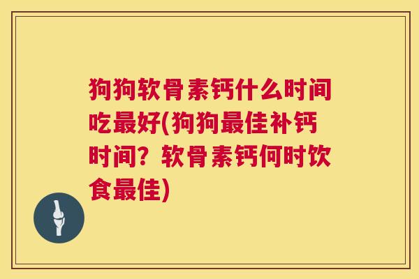狗狗软骨素钙什么时间吃好(狗狗佳补钙时间？软骨素钙何时饮食佳)