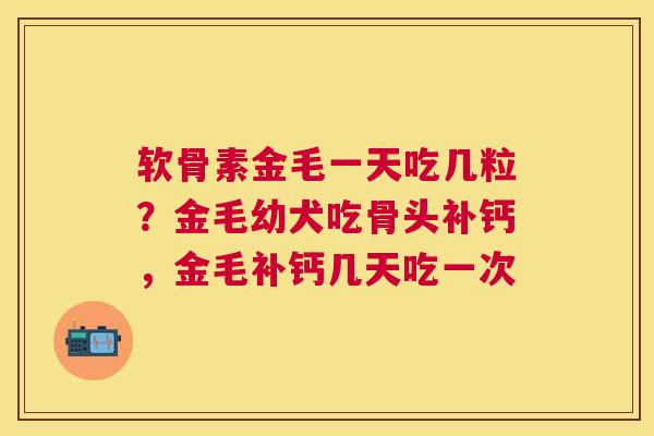 软骨素金毛一天吃几粒？金毛幼犬吃骨头补钙，金毛补钙几天吃一次
